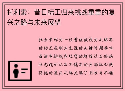 托利索：昔日标王归来挑战重重的复兴之路与未来展望