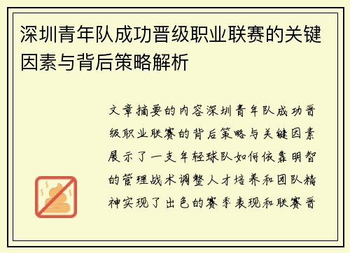 深圳青年队成功晋级职业联赛的关键因素与背后策略解析